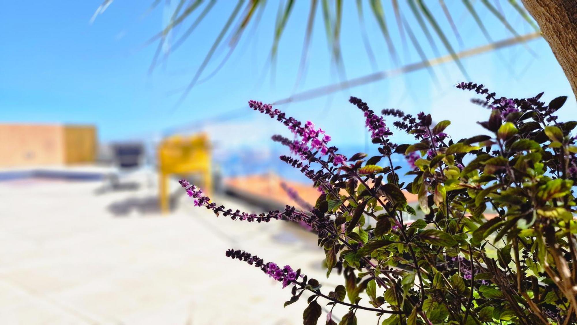 Eden Sun - A Modern Luxury Villa With A Panoramic View Prazeres Buitenkant foto